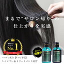 【クーポン利用で3980円】サロン専売!シャンプー&トリートメント セット 300ml/500ml a gland / laffia ヘマチン ノンシリコン ダ...