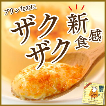 【店内全商品P5倍】【メール便 送料込み】長崎 カステラ プリン ざらめ ギフト スイーツ デザート 容器 固め 贈答 カラメル お試し おためし お菓子 洋菓子 アラモード ポッキリ グルメ 食品 訳あり 均一 ポイント 消化 プチギフト deal 手土産 500円　以下 1000円