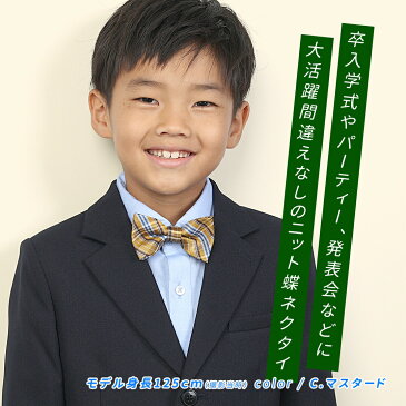 蝶ネクタイ 子供 チェック柄 クイックネクタイ キッズ ジュニア ネクタイ 結婚式 発表会 ワンタッチ 簡単 冠婚葬祭 チェック 子供服 おしゃれ ジュニアネクタイ ボウタイ ワンタッチネクタイ 子供用 簡単ネクタイ 子ども 男の子 入園式 卒園式 可愛い メール便 送料無料