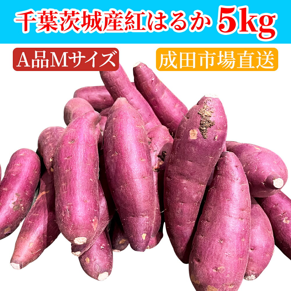 【成田市場直送】さつまいも 5KG 紅はるか 紅東　またはシルクスイート　A品　Mサイズ サツマイモ 焼き芋に 千葉県・…