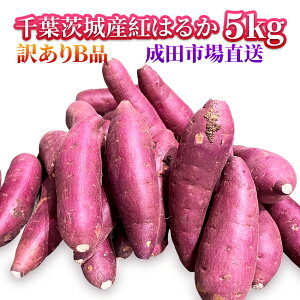 【楽天1位★成田市場直送】さつまいも 5KG シルクスイート 紅はるか　紅東　訳あり品 サツマイモ 焼き芋に 千葉茨城県産地厳選 B品 美味しい やきいもに 食物繊維 美容 スイーツ ギフト