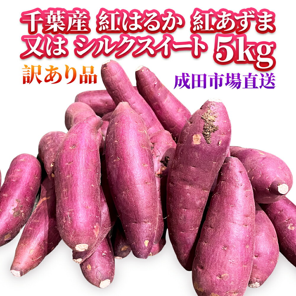 【楽天1位★成田市場直送】さつまいも 5KG前後 シルクスイート 紅はるか　紅あずま　訳あり品 サツマイモ 焼き芋に 千…