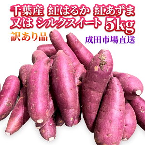 【訳ありのさつまいも】味は抜群！人気の訳ありサツマイモは？