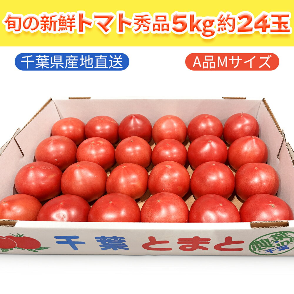 【成田市場直送★最安値挑戦！】トマト　秀品　Mサイズ　24個入り　産地厳選　送料無料 トマト 安心安全 樹上完熟 ジュース ピューレ ソース ペースト おうち時間　家庭用　業務用