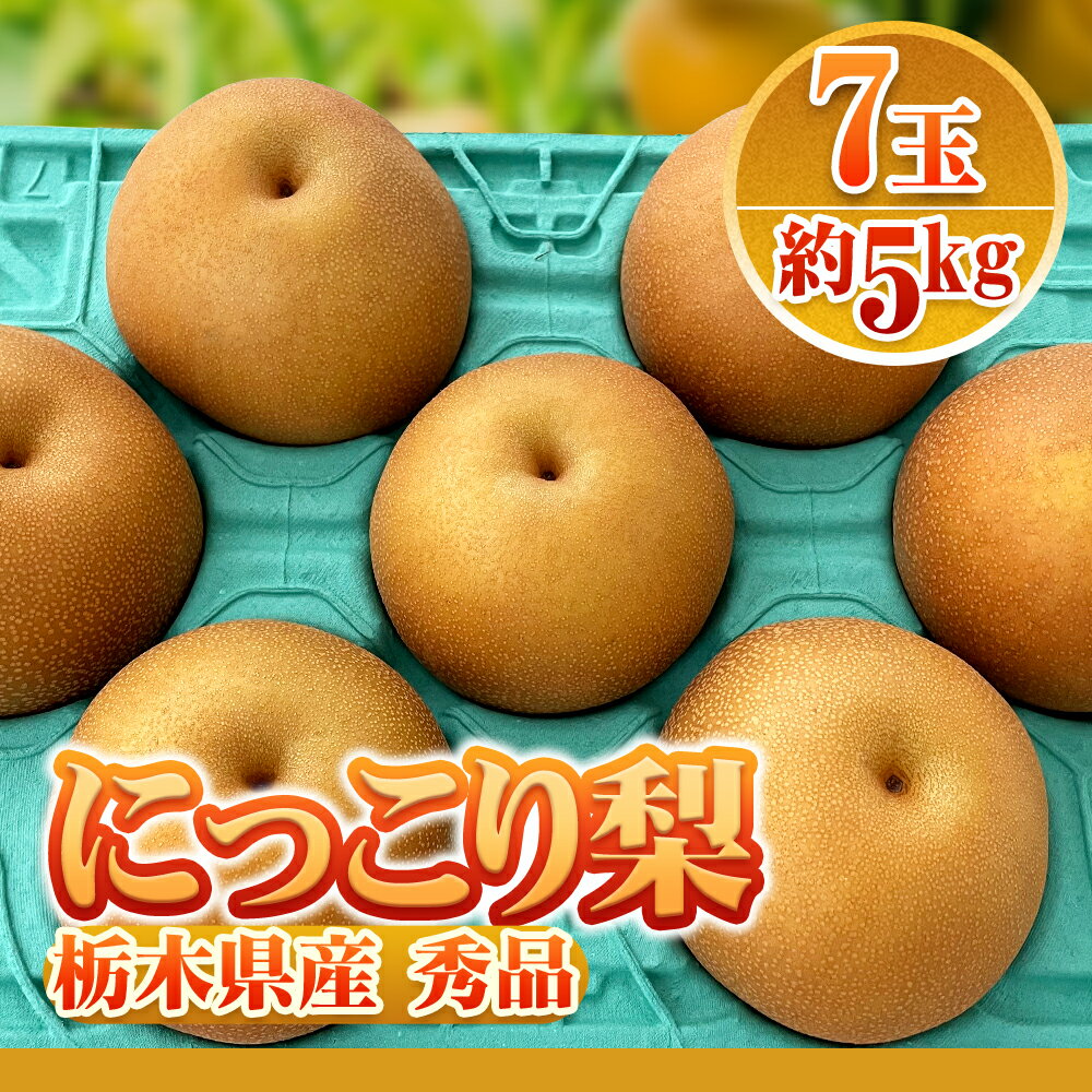 【最安値挑戦！旬の果物】梨 　にっこり梨　又は　新高梨　千葉梨 ほうすい 梨 約5kg 9～12玉　秀品 贈答可能 なし 国産　JA共選　厳選産地の 和梨