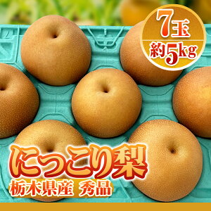 【最安値挑戦！旬の果物】梨 　にっこり梨　又は　新高梨　千葉梨 ほうすい 梨 約5kg 9～12玉　秀品 贈答可能 なし 国産　JA共選　厳選産地の 和梨