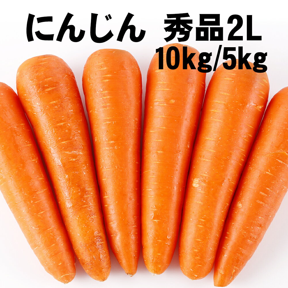 【最安値挑戦 】にんじん 人参 秀品 2L 10kg5kg ジュース 野菜 家庭用 業務用