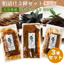 【無添加】【3種セット】漬物 ギフト 漬け物 粕漬け かす漬け うり きゅうり セロリ 手作り お中元 御歳暮 贈答 贈り物 プレゼント お祝い 敬老の日 おつ...