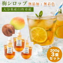 シロップ かき氷 セット シロップセット 梅 梅シロップ ウメ 無添加 無着色 手作り 国産 産地直送 サイダー割り お湯割り ホットドリンク アレンジ クエン...