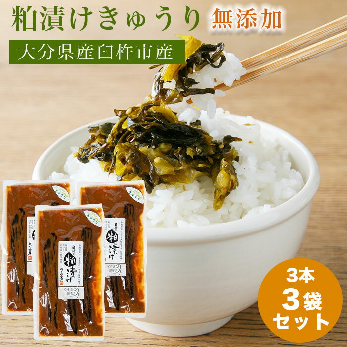 漬物 漬け物 ギフト 【3袋セット】 粕漬け セット かす漬け 粕漬けきゅうり きゅうり 無添加 手作り お中元 贈り物 お祝い 敬老の日 父の日 母の日 大分...