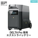 【正規販売店】DELTA Pro 専用エクストラバッテリー