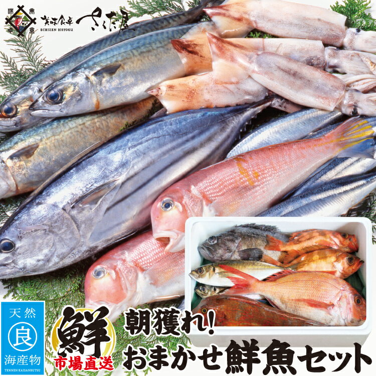 鮮魚セット (3種以上) お歳暮 冬ギフト お年賀 朝獲れ おまかせ鮮魚ボックス 海鮮 ギフト 詰め合わせ 選べるセット内容 下処理 ウロコ・内臓・エラ処理しま...