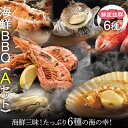 海鮮 BBQセット バーベキューセット A 6種13品 3〜...