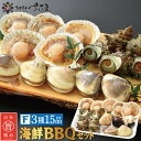 海鮮バーベキューセット BBQ F 3種15品 2～3人前【