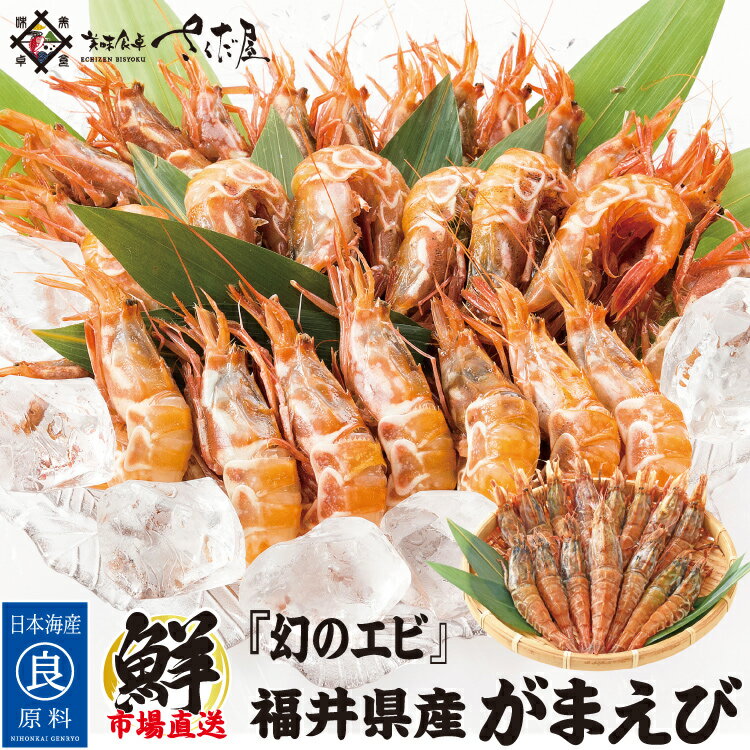 日本海産 がらえび ガラエビ 250g～750g 生食用【冷凍便】甘えびより甘いといわるエビトゲクロザコエビ..