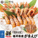 日本海産 がらえび ガラエビ 250g～750g 生食用甘えびより甘いといわるエビトゲクロザコエビ、ドロエビ 母の日 父の日