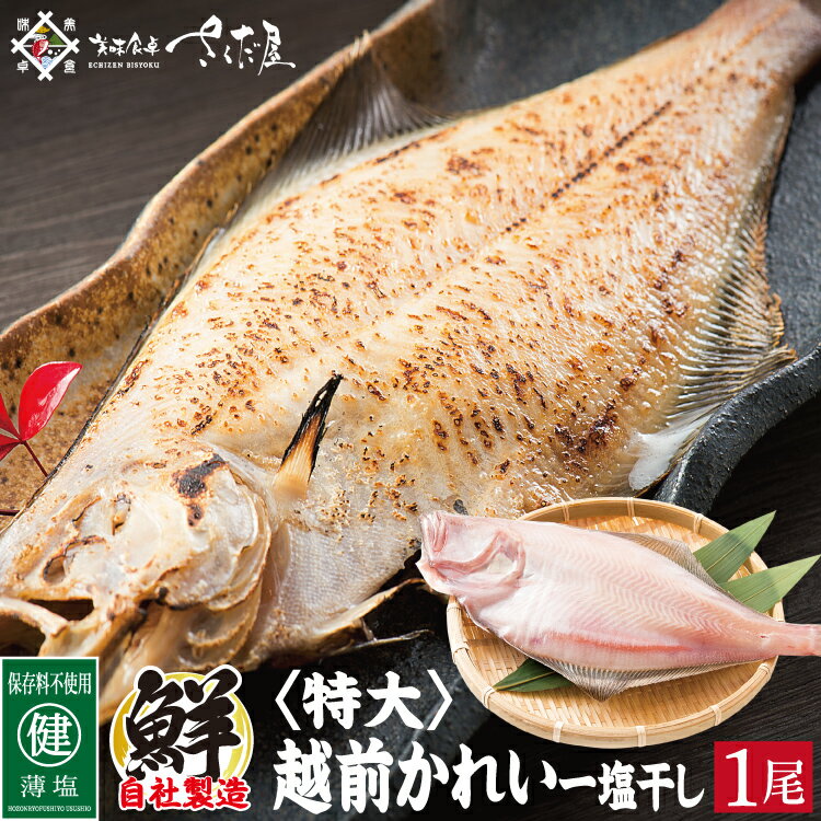 商品名称 《特大サイズ》越前かれい一塩干し 内容量 1尾（250〜300g） 原材料 赤がれい（福井県産）、食塩 ポイント 地元越前の海で獲れた新鮮な赤カレイの大きめサイズを厳選。干物職人が作る天然塩“越前塩”で旨味を凝縮させた一塩干し。 賞味期限 冷凍2ヶ月 ※解凍後、冷蔵保存で3日間 お召し上がり方・注意事項 焼いて！揚げて！煮て！食べ方いろいろです。 利用用途 ギフト お中元 お歳暮 内祝い 手土産 父の日 母の日 敬老の日 誕生日 贈答用 御年賀 プレゼント お礼 詰め合わせ 関連キーワード 【種類】赤がれい（赤鰈、赤ガレイ、赤かれい、赤カレイ） 干物（一夜干し） 【イベント】御中元、御歳暮、御年賀、父の日、母の日、敬老の日、誕生日 【配送方法】冷凍、送料無料 お届け便 販売者 株式会社 山下水産 美味食卓さくだ屋（さくだや） 福井県丹生郡越前町小樟3-69-1 TEL:050-5433-5699 関連商品