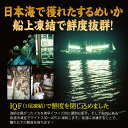 海鮮バーベキューセット BBQ 日本海するめいか 4杯～12杯 船凍イカ【冷凍便】 母の日 父の日 3