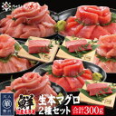 海鮮 ギフト 詰め合わせ 国産生本マグロ 選べる2種セット 合計300g 【冷蔵便】 本鮪 刺し身 未冷凍 生まぐろ 海鮮丼 贈り物 送料無料 美味しい贈物 お...