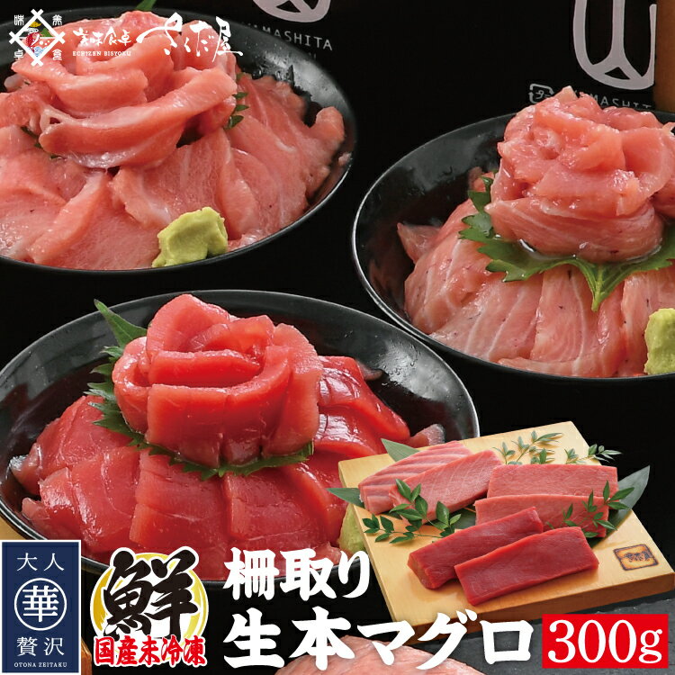 国産生本マグロ 300g(柵どり)【冷蔵便】 本鮪 刺し身 未冷凍 生まぐろ 海鮮丼 贈り物 送料無料 美味しい贈物