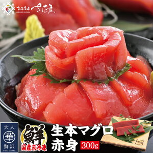 国産生本マグロ 赤身 300g（柵どり） 濃厚な旨味とコクにもっちりとした食感の赤身【冷蔵便】