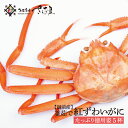 【訳あり】越前産 茹で紅ズワイガニ姿たっぷり5杯(1杯600...