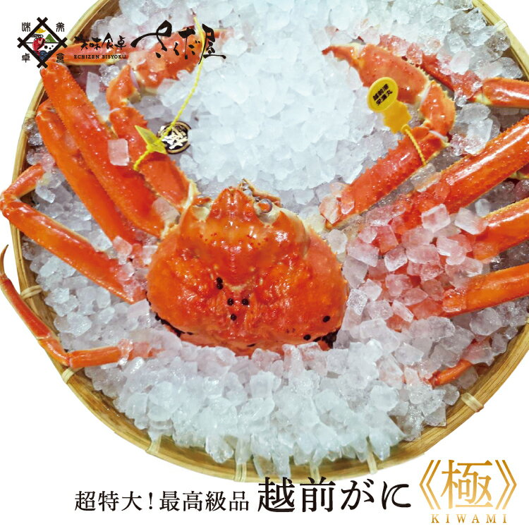 越前がに 《極》 お歳暮 冬ギフト お年賀 越前蟹 水揚げ全体の約0.5％以下という超希少な蟹 ズワイガニ 【冷蔵便】のサムネイル