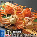 浜茹で 越前せいこがに 【超特大サイズ】 黄色タグ付き (1杯あたり220g以上) お歳暮 冬ギフト お年賀 せいこ蟹 せこがに 福井県産【冷蔵便】 約2ヶ月間...