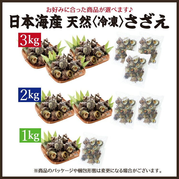 【徳用】冷凍さざえ 1kg 2kg 3kg 日本海産 海鮮 BBQセット 【冷凍便】ガンガン焼き...