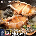 海鮮バーベキューセット BBQ 活き蝦夷あわび ミニサイズ 5個?10個【冷蔵便】ガンガン焼き にもオススメ♪ 美味しい贈物 母の日 父の日