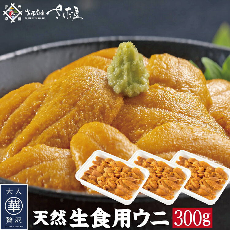 天然ウニ 雲丹 Aランク 300g 無添加 うに 生食用魚卵