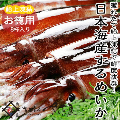 海鮮 BBQセット バーベキューセット 日本海するめいか 8杯 船凍イカ【冷凍便】