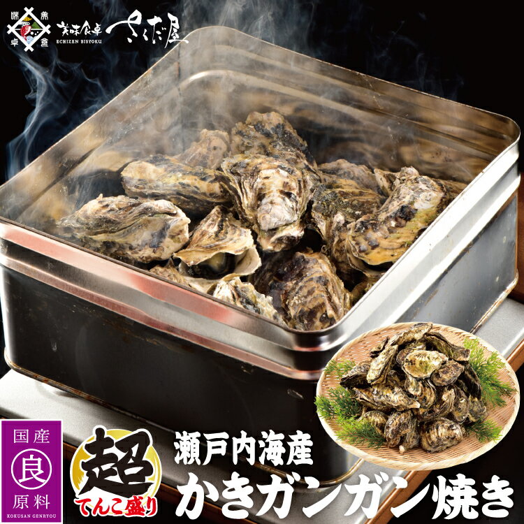 ガンガン焼き 海鮮バーベキューセット BBQ 牡蠣缶 2kg