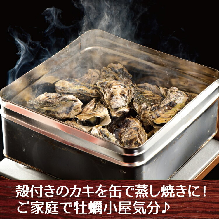 ガンガン焼き 海鮮 BBQセット バーベキューセット 牡蠣缶 2kg 20〜30個 かき カキ【冷凍便】