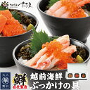 海鮮 ギフト 詰め合わせ 海鮮丼 越前海鮮ぶっかけの具セット 3種 甘えび ふくいサーモン ベニズワイガニ【冷凍便】 美味しい贈物 母の日 父の日