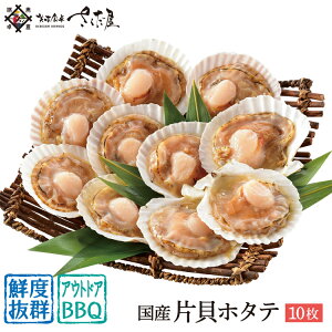 ホタテ 殻付き 海鮮BBQ バーベキューセット 国産 片貝ホタテ 10枚【冷凍便】ガンガン焼き にもオススメ♪