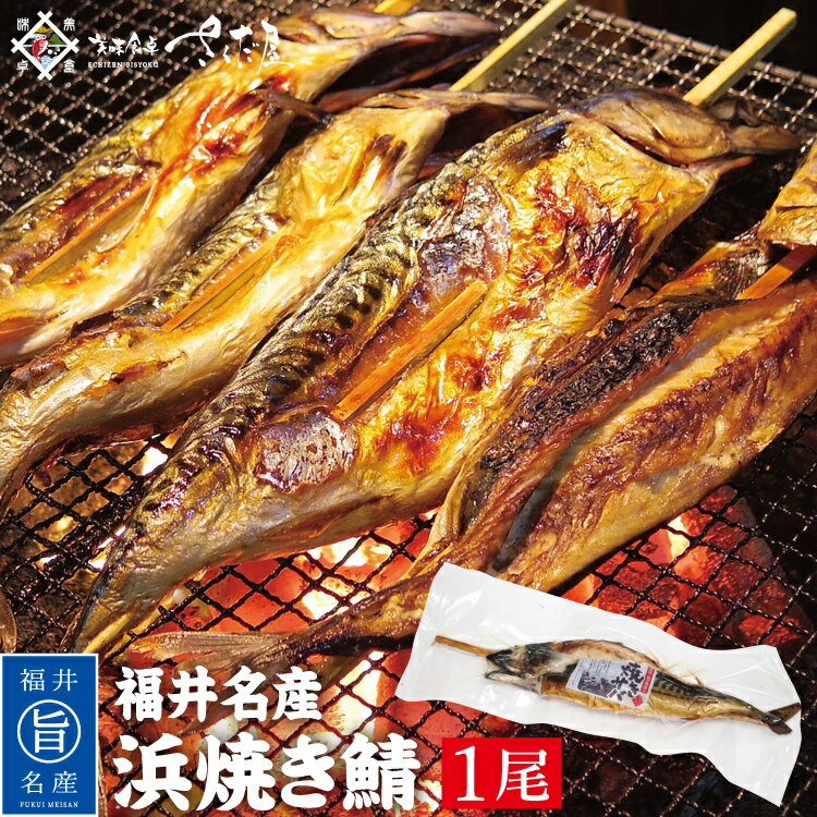焼き鯖 30センチサイズ お歳暮 冬ギフト お年賀 海鮮バーベキューセット BBQ 焼鯖 浜焼きさば【冷凍便】 美味しい贈物
