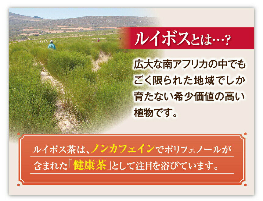 9/4 20時〜ポイント最大42倍【ノンカフェイン】 めちゃ盛りオーガニックルイボス茶 1.5gx100包【日本製】 ルイボスティー ルイボス茶 ティーバッグ 100個 大容量 お得 手軽 気軽 美味しい おいしい オーガニック 100% 有機 妊婦 妊娠中 ノンカロリー ゼロ お茶 健康茶