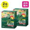 【27日9:59までP最大32倍】【送料無料】【2箱セット】 30日間酵素生活 15g×30本【日本製】 酵素 ドリンク 濃縮タイプ 美味しい おいし..