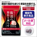 【単品/2袋セット 送料無料】【機能性表示食品】 燃脂ブラックジンジャー 62粒【日本製】 ブラックジンジャー由来 ポリメトキシフラボン 植物性乳酸菌 BMI ...