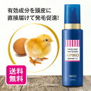 【送料無料】【医薬部外品】 薬用育毛剤アプモ 100mL【日本製】 薬用 育毛剤 卵由来 卵殻膜 レシチン アルブミン グリチルリチン酸2K センブリ タマサキ...