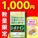 【もったいないセール】【機能性表示食品】 シボナイン 62粒