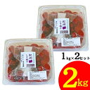 竹内農園 しそ梅干 1kg×2個 2kg 梅干し 無添加 特別栽培梅使用 紀州南高梅 無添加 昔ながらのすっぱい梅干し しそ シソ 紫蘇 1キロ×2 2キロ あまくない 甘くない 塩分 国産 日本産 すっぱい スッパイ 天日塩 和歌山県産 うめぼし 梅干し 梅干 ウメボシ 塩分15以上