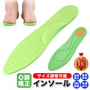 【楽天1位】 O脚矯正インソール 姿