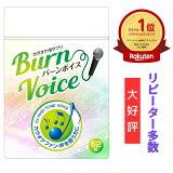 100ߡ2000OFFݥ 4/27_10ޤǡۡڳŷ1̡ۥ饪 ץ ⲻ BURN VOICE (Сܥ) 󥴻ޥͥ ʥ  Υ ץ 62γ 