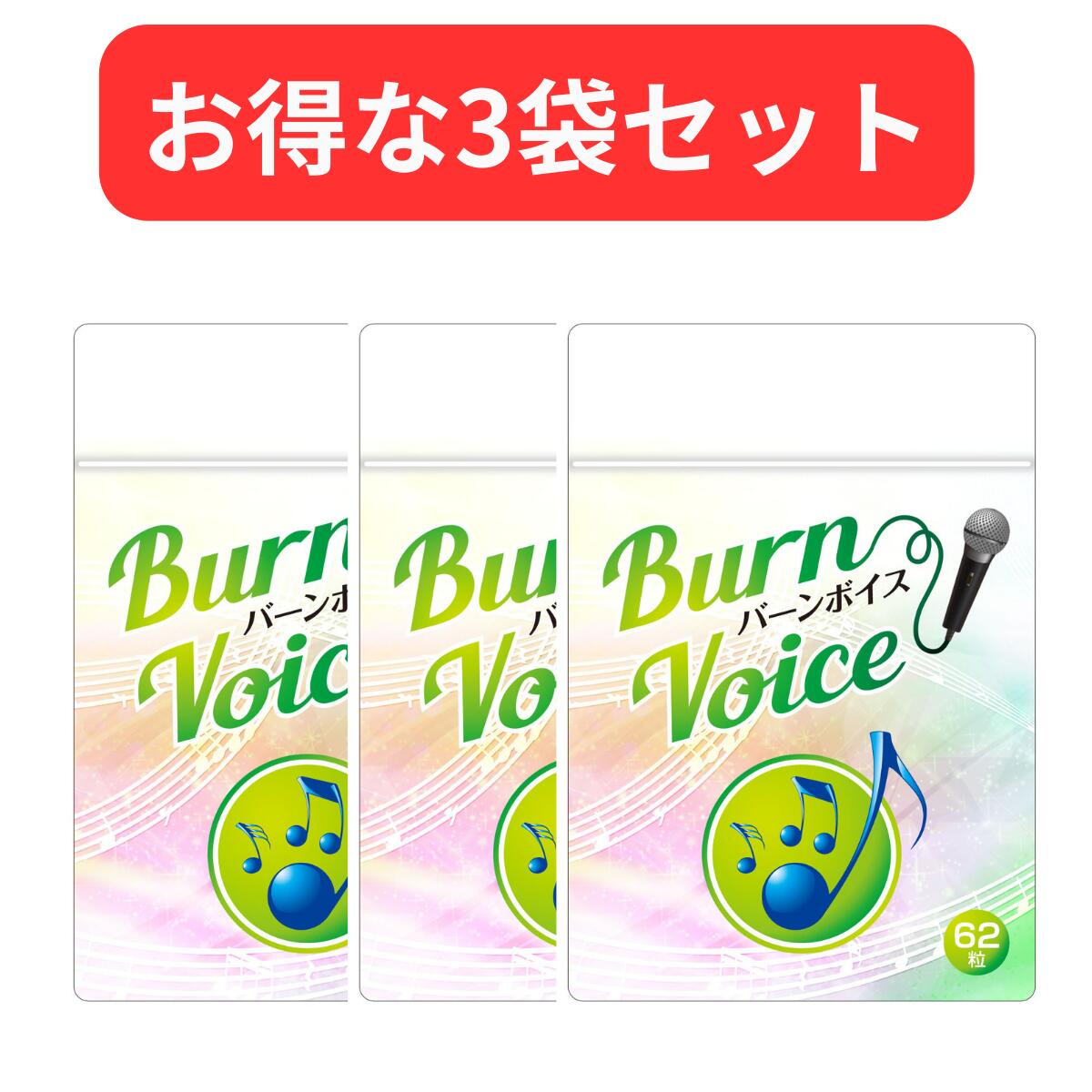 【3袋セット】カラオケ サプリ 高音 BURN VOICE (バーンボイス) リンゴ酸＆マグネシウム ...