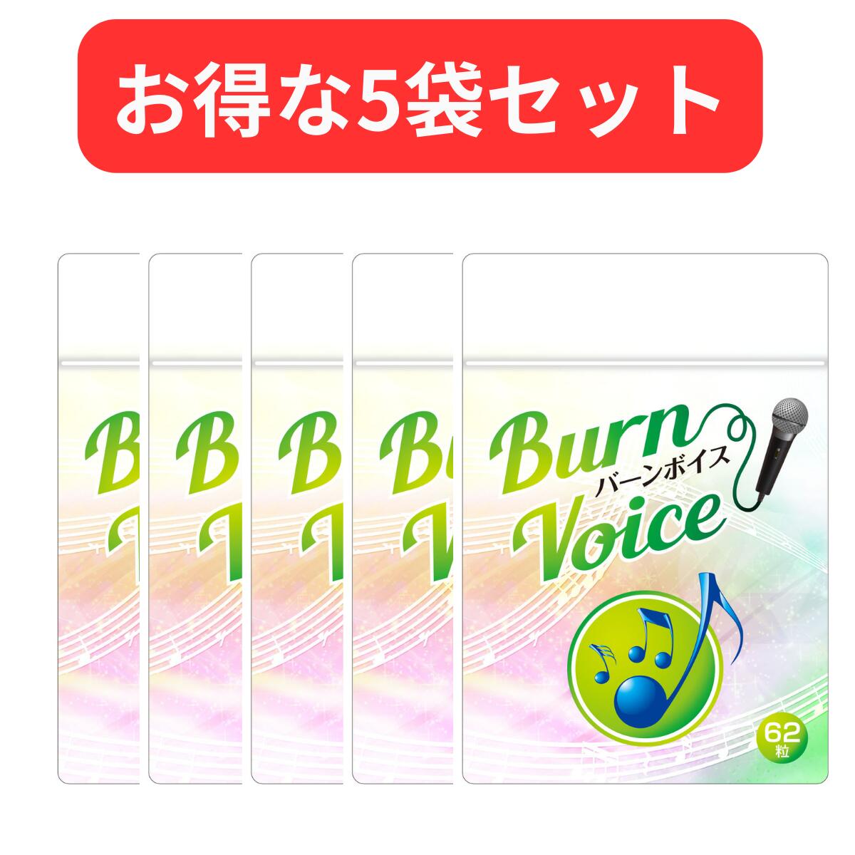 【5袋セット】カラオケ サプリ 高音 BURN VOICE (バーンボイス) リンゴ酸＆マグネシウム ...