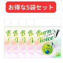 【5袋セット】カラオケ サプリ 高音 BURN VOICE (バーンボイス) リンゴ酸＆マグネシウム シナモン ガラナ 声のケア サプリメント 62粒 日本製