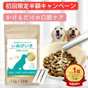 【初回限定半額!!】【楽天1位 2冠達成】犬 口臭ケア ふりかけ サプリ サプリメント 歯磨き 歯磨き粉 国産 無添加 デンタルケア 口腔ケアサプリ 口臭 ふりかけ サプリ 1.5g×30包 チーズ味 乳酸菌 KT-11 米ぬか 米糠 いぬびいき