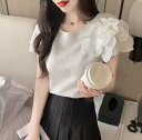 トップス シャツ ブラウス カットソー 半袖 かわいい 大人可愛い きれいめ シンプル カジュアル 大人 上品 おしゃれ お洒落 大人女子 こなれ感 個性的 主役級 存在感 美容師 メイクアップアーティスト ネイリスト アパレルスタッフ 美容部員 エステティシャン